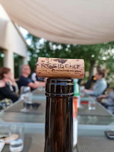 Binissalem: Individual vineyard tour and wine tasting in German - Learning how the wine is made