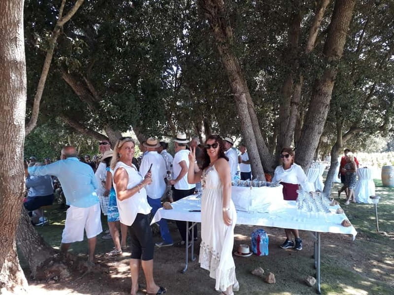Binissalem: Individual vineyard tour and wine tasting in German - Five wines and a taste of Mallorca