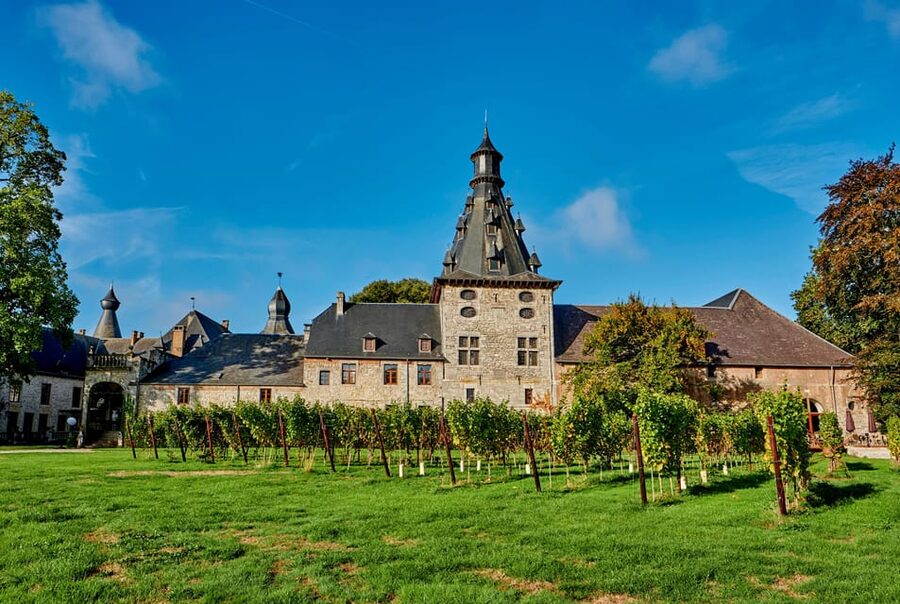 Bioul (near Dinant) : Château de Bioul Tour and Wine Tasting - Why Château de Bioul makes a good day near Dinant