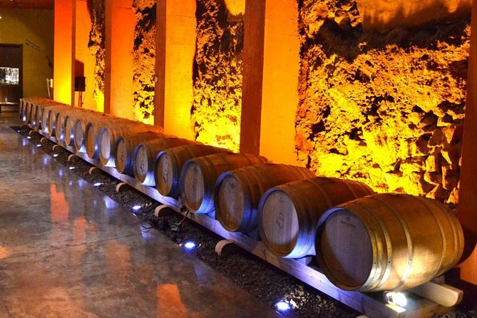 Bodegas Monje Winery Ticket w/Wine Tasting & Mojo Sauce Workshop - What you actually eat