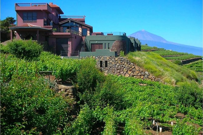 Bodegas Monje Winery Ticket w/Wine Tasting & Mojo Sauce Workshop - Small details that improve the visit