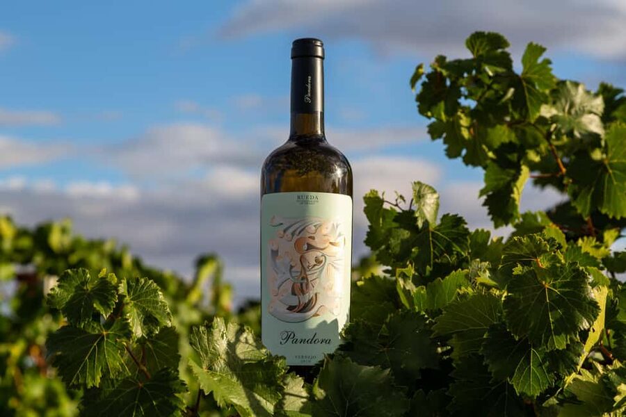 BODEGAS PANDORA: tour through vineyards and winery with wine tasting. - Key points at a glance