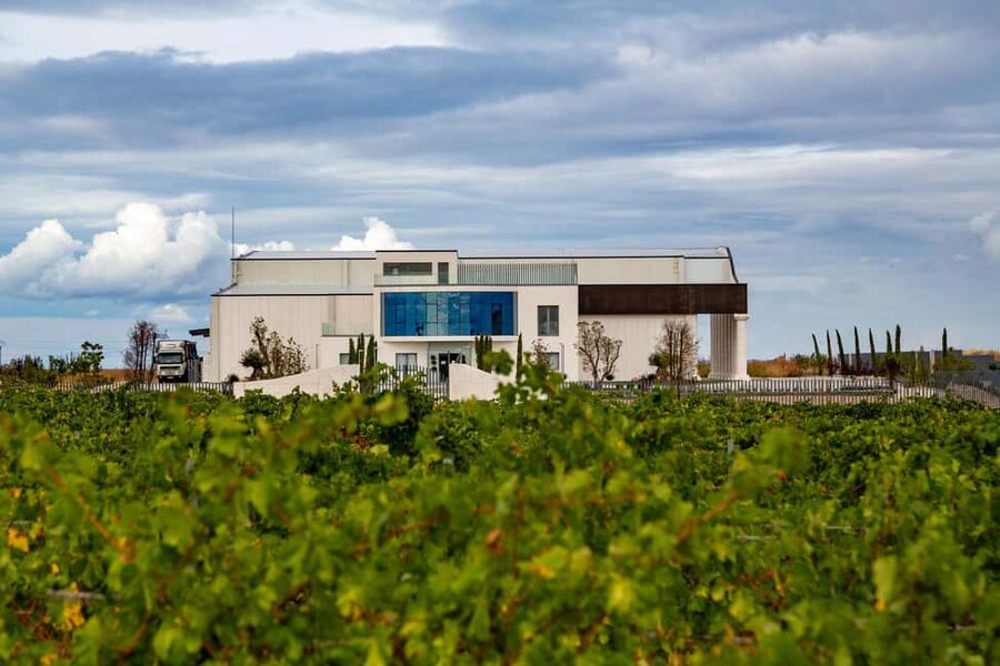 BODEGAS PANDORA: tour through vineyards and winery with wine tasting. - The three-wine tasting with Castilian snacks