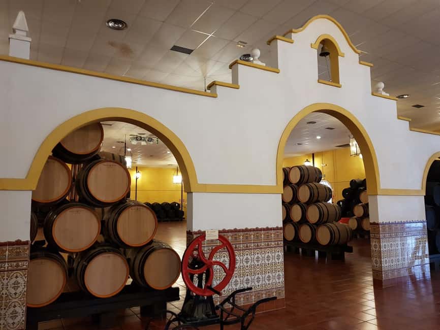 Bodegas Quitapenas: Guided Visit + Wine Tasting - Key points to know before booking