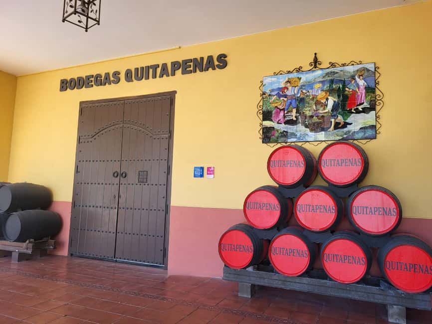 Bodegas Quitapenas: Guided Visit + Wine Tasting - Starting at Carretera de Guadalmar 12