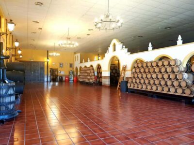 Bodegas Quitapenas: Guided Visit + Wine Tasting