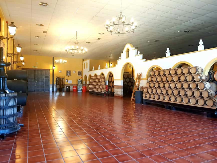 Bodegas Quitapenas: Guided Visit + Wine Tasting - Inside Malaga’s oldest winery