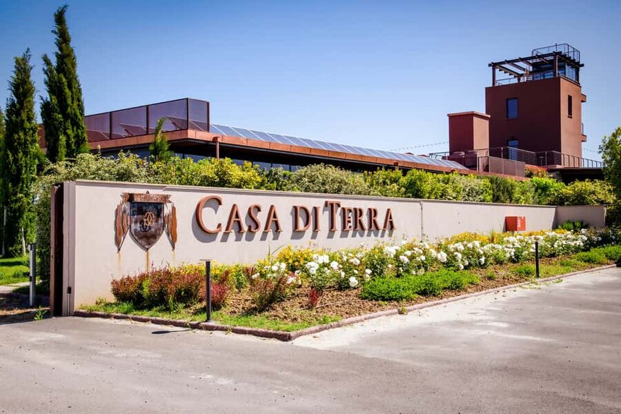 Bolgheri: a guided tour of the winery and a tasting of our wines - The barrel cellar, Bolgheri’s quiet center