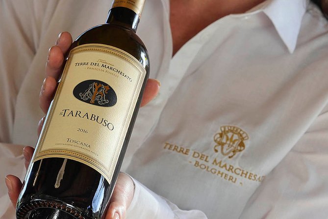Bolgheri: Classic Wine Tasting with Winery Tour - Key points to know before you book