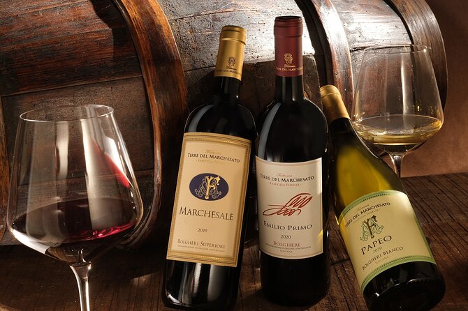 Bolgheri: Classic Wine Tasting with Winery Tour - Arriving at Terre del Marchesato near Bolgheri