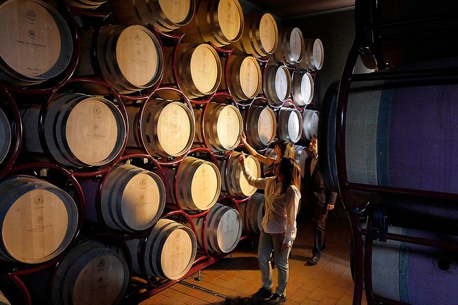Bolgheri: Classic Wine Tasting with Winery Tour - Tasting three wines from Terre del Marchesato
