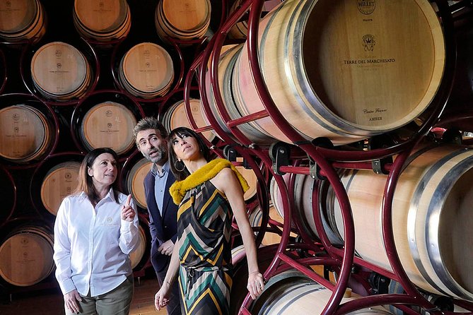 Bolgheri: Classic Wine Tasting with Winery Tour - How much explanation should you expect?
