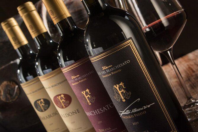 Bolgheri: Premium Wine Tasting with Winery Tour - Inside the cellar: from grape selection to bottle