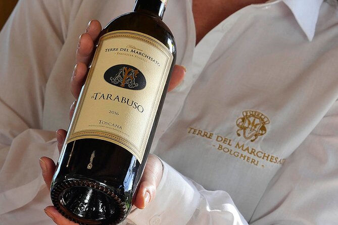 Bolgheri: Premium Wine Tasting with Winery Tour - Walking the vineyards at Terre del Marchesato