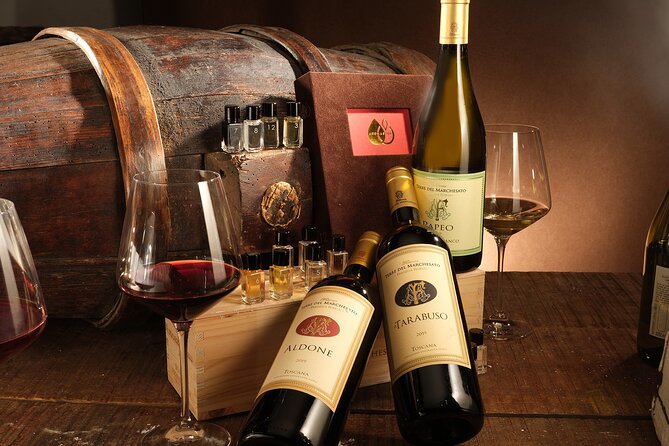 Bolgheri: Sensorial Wine Tasting with Winery Tour - Key points to know before you book