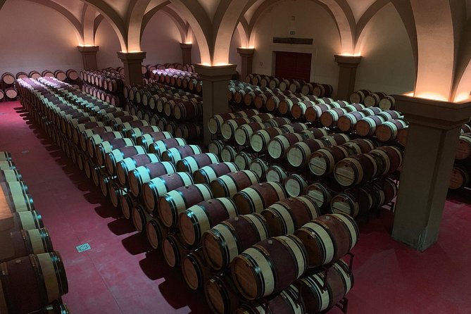 Bolgheri Wineries and Tuscany Tour - What the private price really buys you