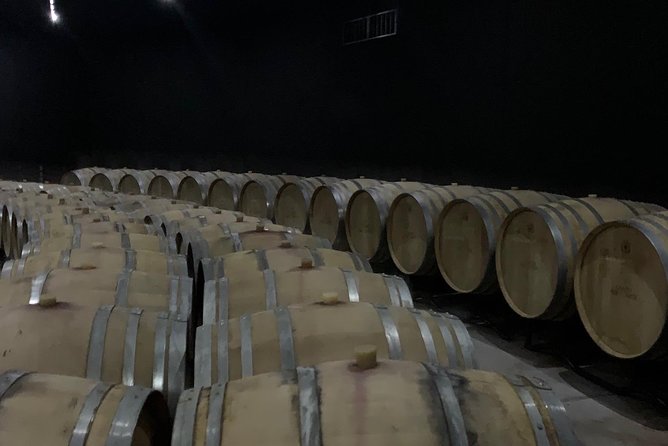 Bolgheri Wineries and Tuscany Tour - The driver-guide can shape the whole day