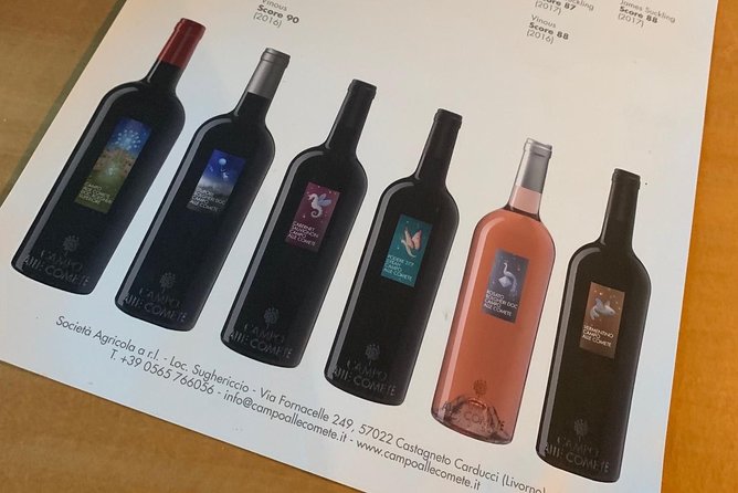 Bolgheri Wineries and Tuscany Tour - Timing, comfort, and the shape of the day