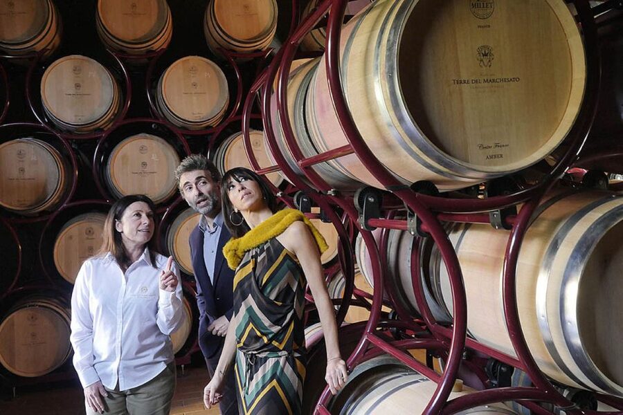 Bolgheri: Winery Tour with Wine Tasting - Key points at a glance