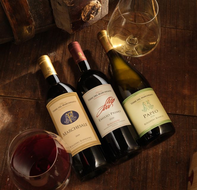 Bolgheri: Winery Tour with Wine Tasting - Practical details that affect your choice