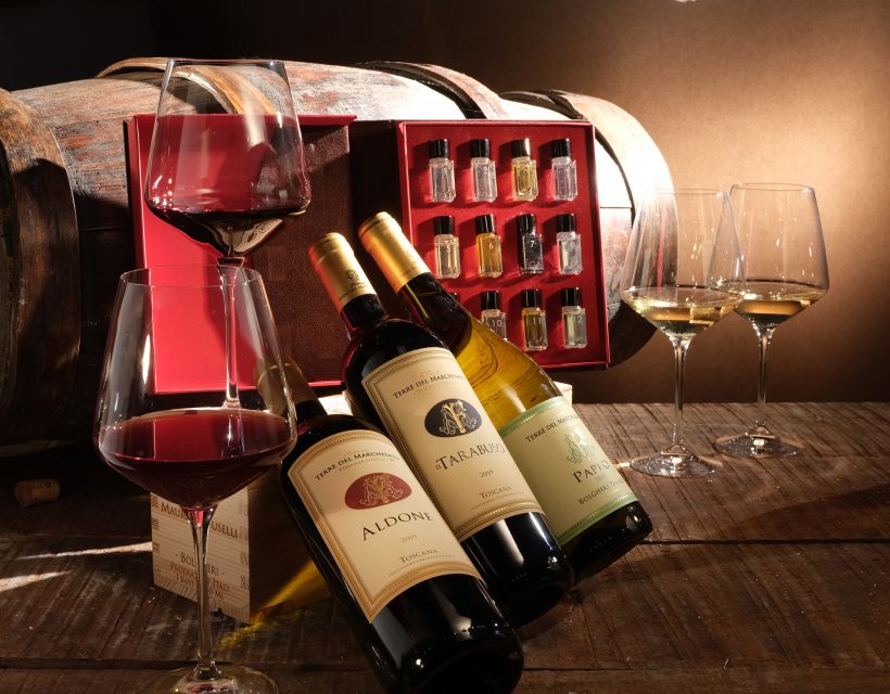 Bolgheri: Winery Tour with Wine Tasting - Inside the winery, from grape to glass