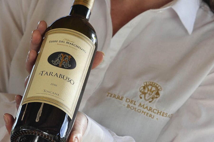 Bolgheri: Winery Tour with Wine Tasting - Choosing between the three wine tastings