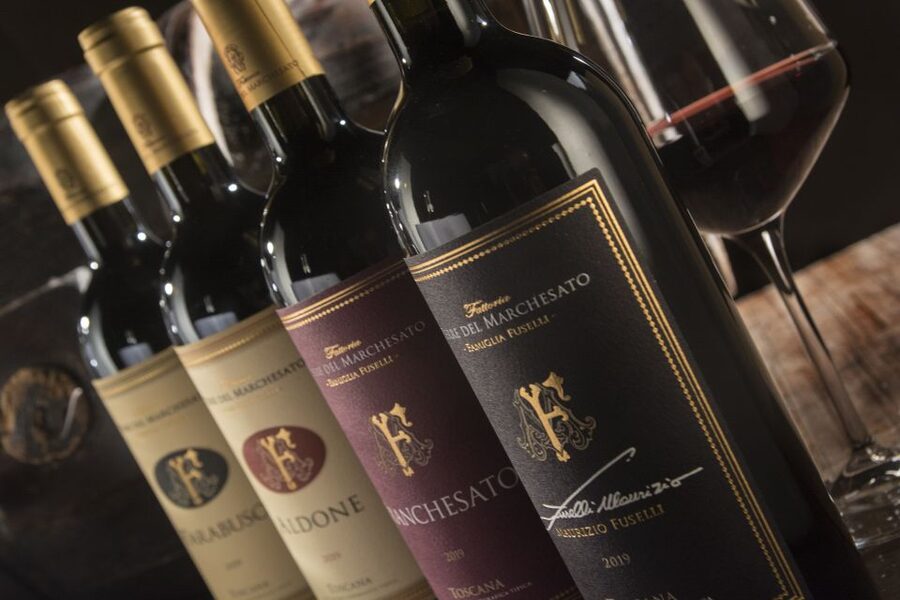 Bolgheri: Winery Tour with Wine Tasting - Arriving at Terre del Marchesato
