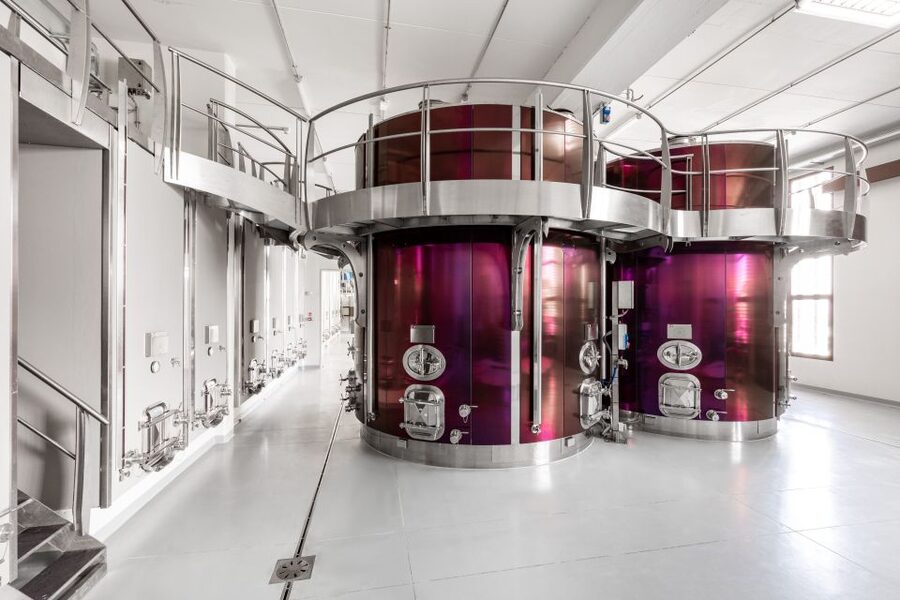 Bologna: Olive Grove and Vineyard Tour with Product Tastings - A working estate near Bologna, not just a tasting room