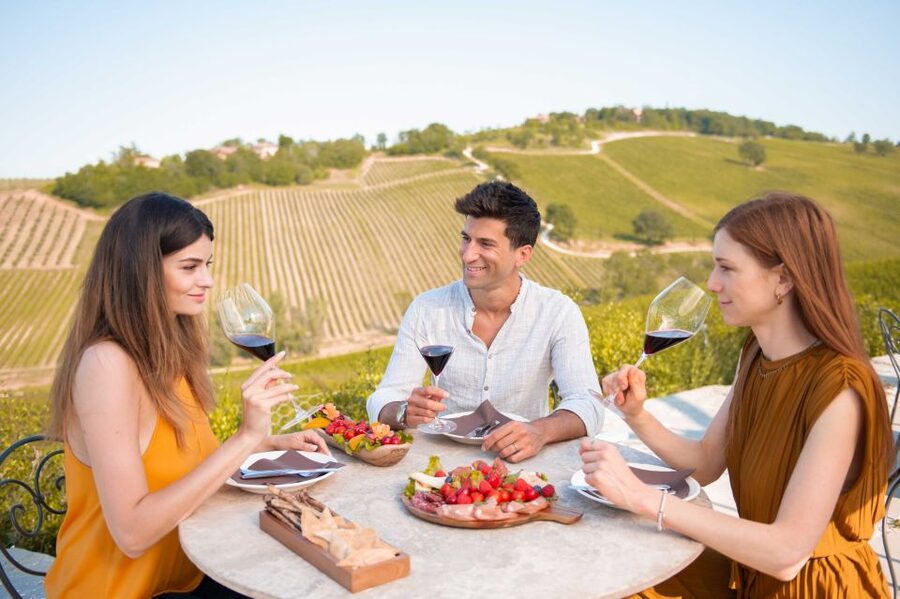 Bologna: Olive Grove and Vineyard Tour with Product Tastings - What happens during the 60 to 90 minutes