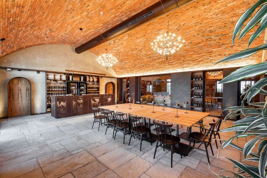 Bologna: Olive Grove and Vineyard Tour with Product Tastings - Bologna wines and the work behind the bottle