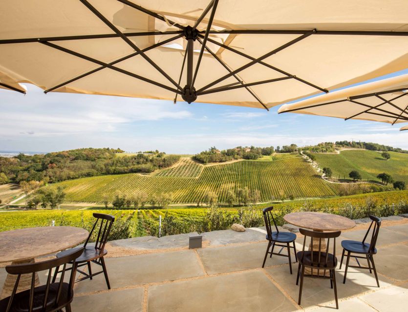 Bologna: Olive Grove and Vineyard Tour with Product Tastings - Local food makes the tasting feel complete