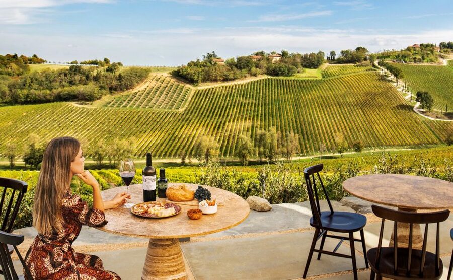 Bologna: Olive Grove and Vineyard Tour with Product Tastings - The terrace and vineyard views