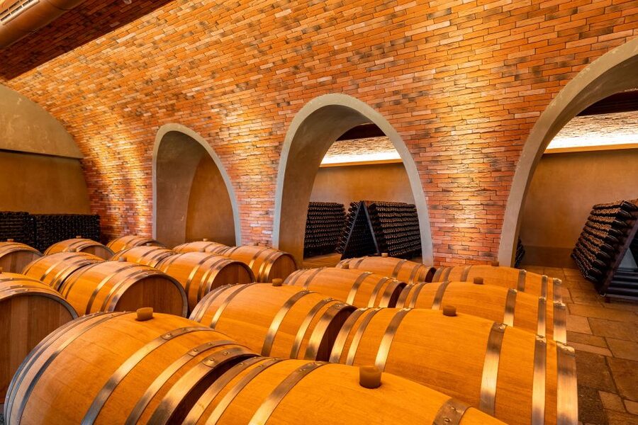 Bologna: Olive Grove and Vineyard Tour with Product Tastings - Should you book it?