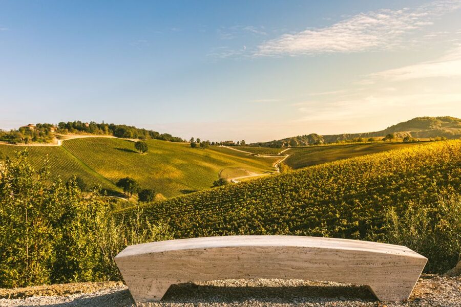 Bologna: Olive Grove and Vineyard Tour with Product Tastings - Learning how to taste olive oil