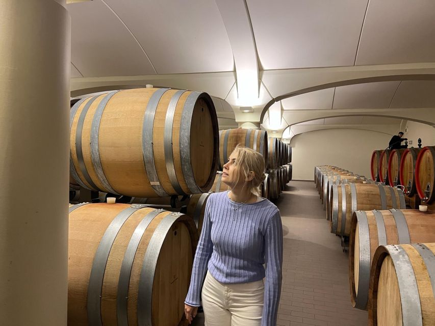 Bologna Vineyard Vista: a journey through Emilian wines - Key points at a glance