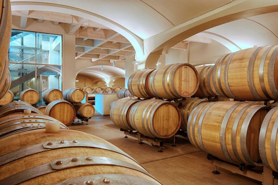 Bologna Vineyard Vista: a journey through Emilian wines - A wine visit shaped by Emilia-Romagna