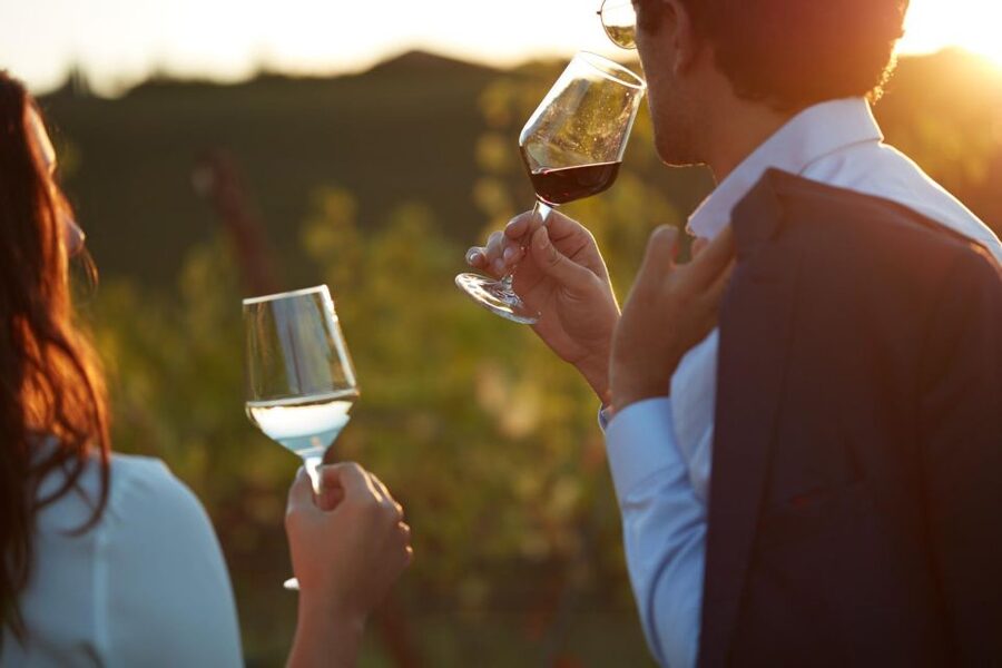 Bologna Vineyard Vista: a journey through Emilian wines - Starting in the cellar