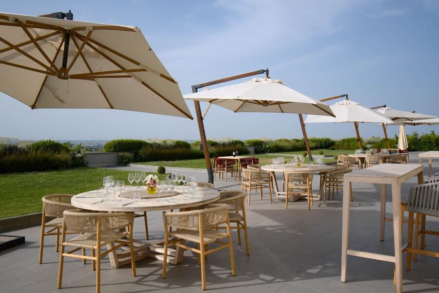 Bologna Vineyard Vista: a journey through Emilian wines - The vineyard setting and countryside views