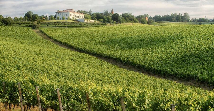 Bologna Vineyard Vista: a journey through Emilian wines - Getting there from Bologna