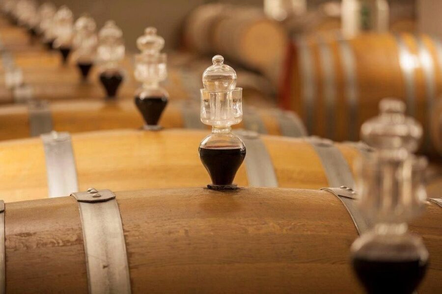 Bologna Vineyard Vista: a journey through Emilian wines - Is $100.82 a fair price?