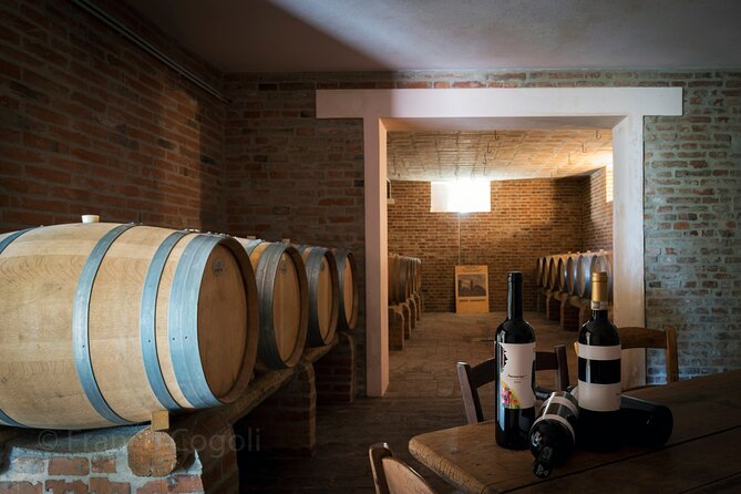 Bologna Wine Tasting & Winery Tour in the Colli Bolognesi - What the $58.87 price really covers