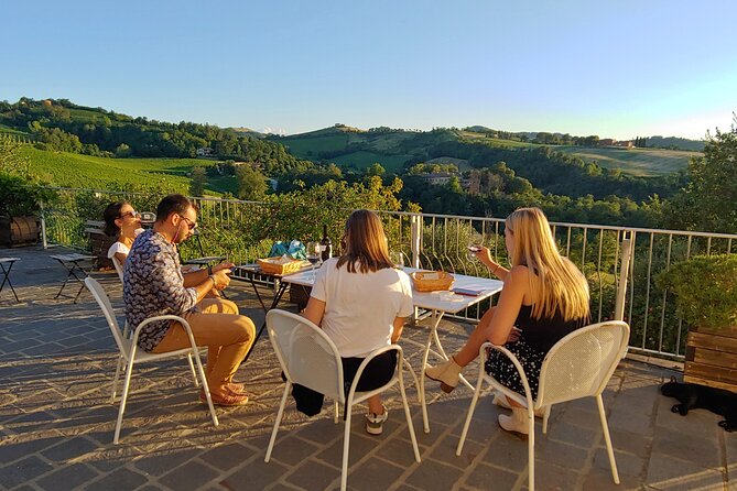 Bologna Wine Tasting & Winery Tour in the Colli Bolognesi - The view, the weather, and the pace