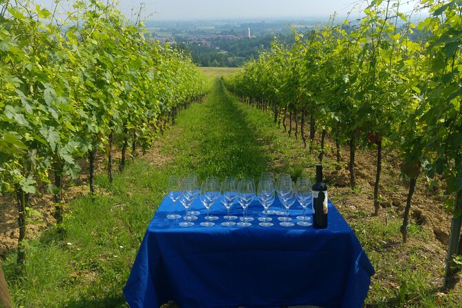 Bologna Wine Tasting & Winery Tour in the Colli Bolognesi - Who will enjoy this most