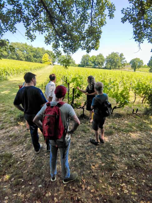 Bordeaux by Gravel Bike : Historic center & vineyards - Bordeaux’s historic sights, seen from two wheels
