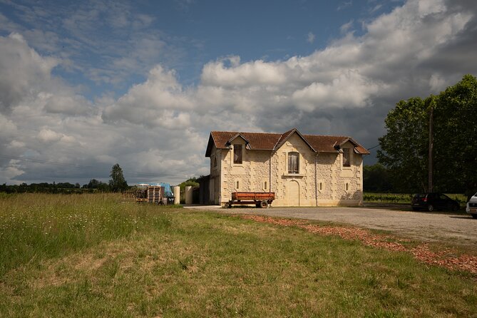 Bordeaux: Explore an Organic Family Vineyard with Tasting - Inside the cellar, from grape to bottle