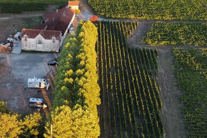 Bordeaux: Explore an Organic Family Vineyard with Tasting - Why the $21 price is strong value