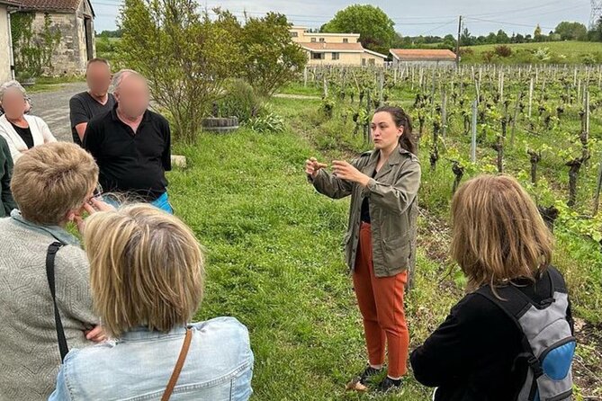 Bordeaux: Explore an Organic Family Vineyard with Tasting - Starting with Bordeaux and its 65 appellations