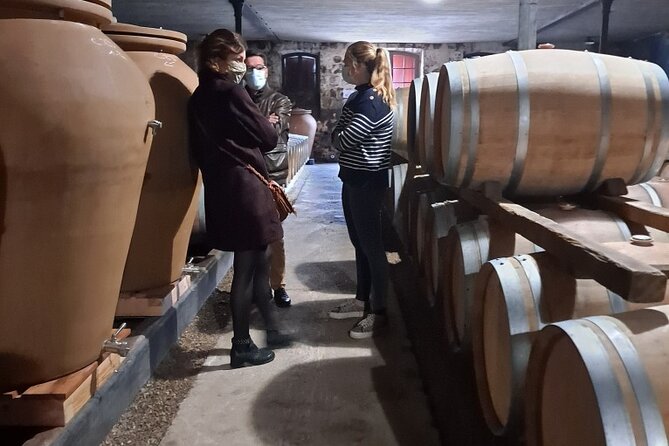 Bordeaux Médoc Region Private Wine Lovers Tour with Chateau Visits & Tastings - Who should book this Médoc tour