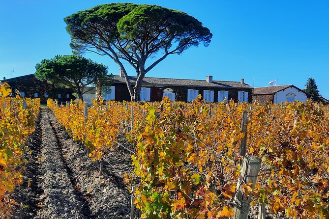 Bordeaux Médoc Region Private Wine Lovers Tour with Chateau Visits & Tastings - What makes the château visits worthwhile