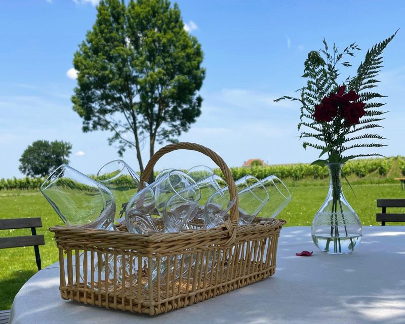 Bordeaux: Médoc & St-Emilion Wine 3 châteaux with lunch - How the $234 price measures up